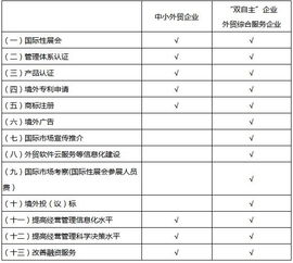 北京市外經貿發(fā)展資金支持外貿企業(yè)提升國際化經營能力實施方案解讀 網站開發(fā)與運營的關鍵作用