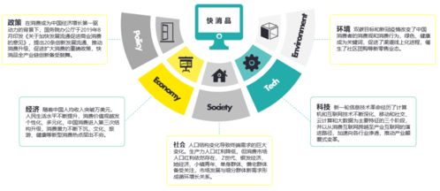 數字心智運營 把握時代機遇，論中國快消品企業D2C轉型趨勢及北京企業網站開發與運營